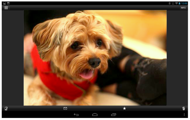 You can view, save or delete photos on your camera using  your tablet
